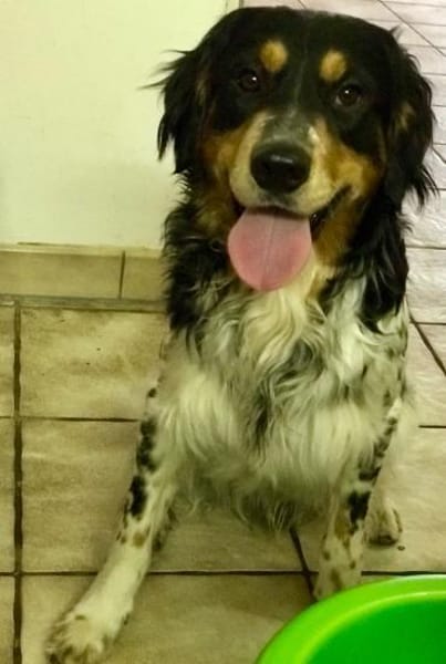 Samu