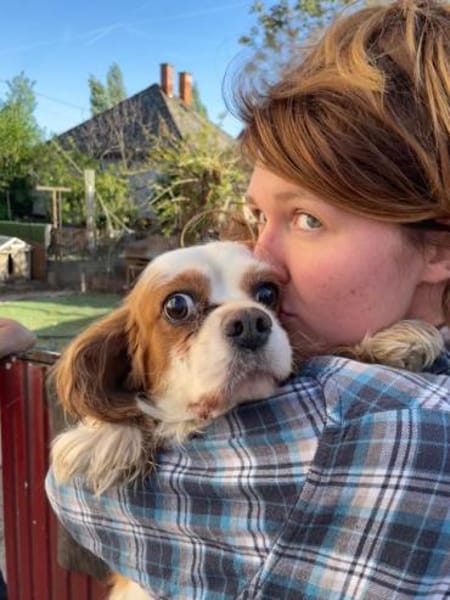 Amanda,liebe Cavalier King Charles Dame