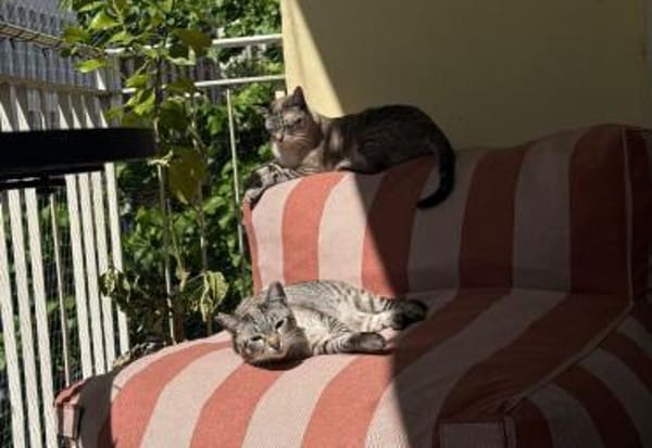 Mia und Zoe in Wiesbaden (ALO)
