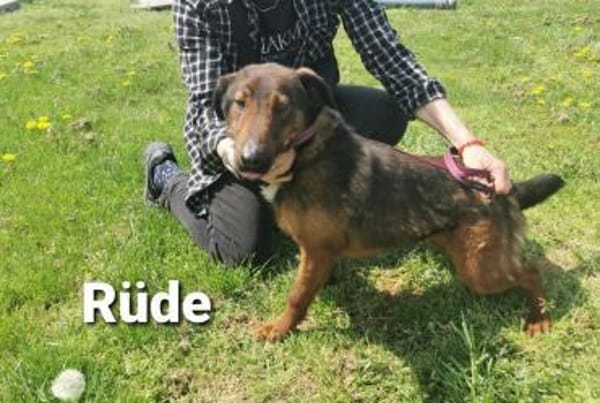 Unfassbar lieb und so hübsch...