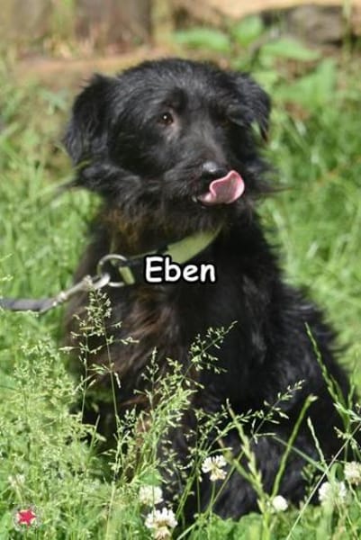 EBEN