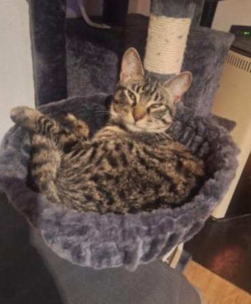 FENIX sucht dringend ein neues Zuhause