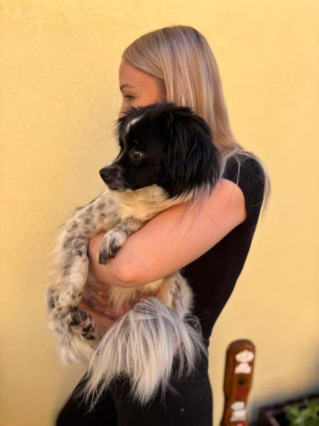 Milky - Zuhause gesucht