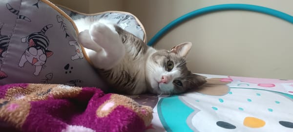 GRETA