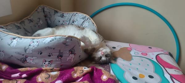 GRETA