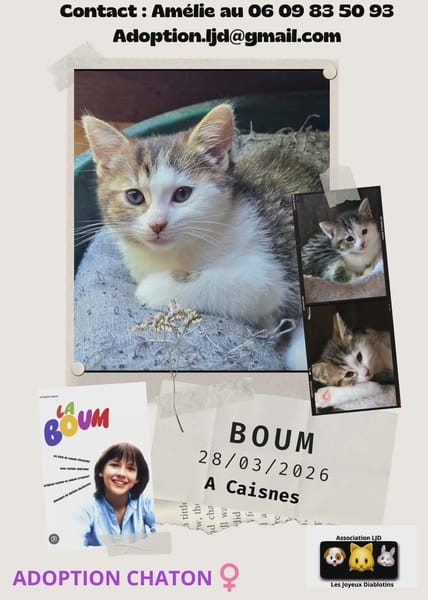 Boum