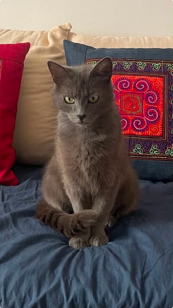 Gigi