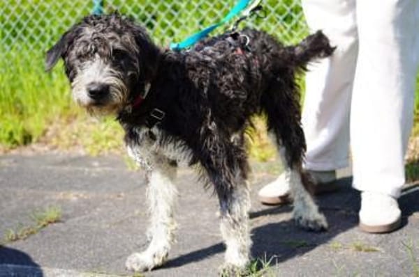 Timoteo sucht seine Menschen