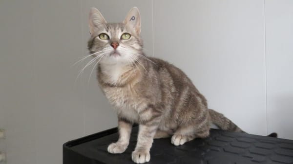 BETTY (réservée)