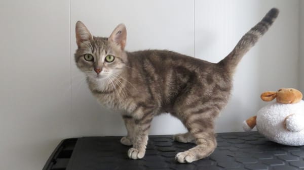 BETTY (réservée)