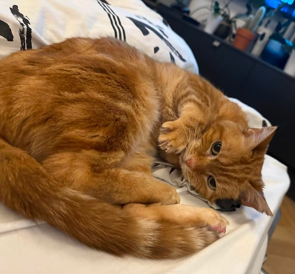 CARAMEL