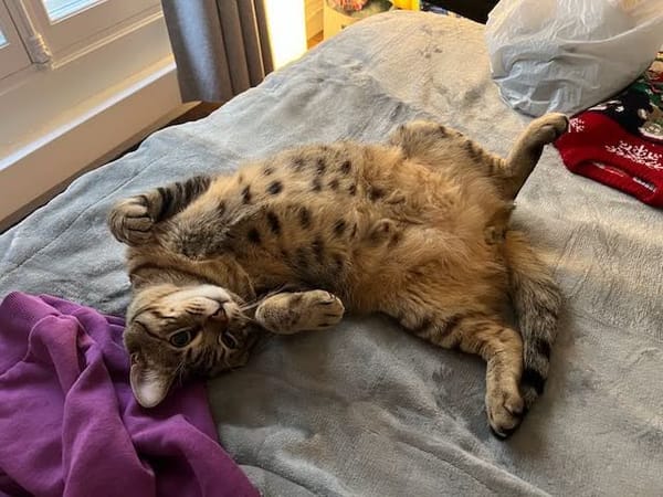 Simba