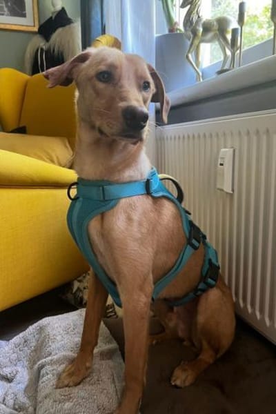 Dany 💗 wartet bereits in 21075 Hamburg