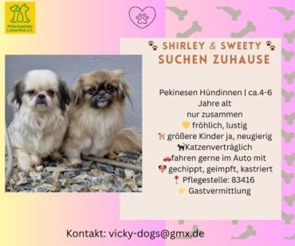 Shirley & Sweety  lustiges Mädchenduo