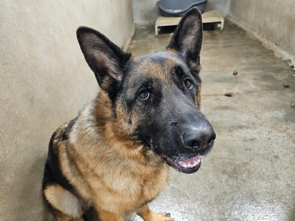 TITO
