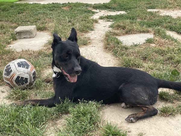 XENA