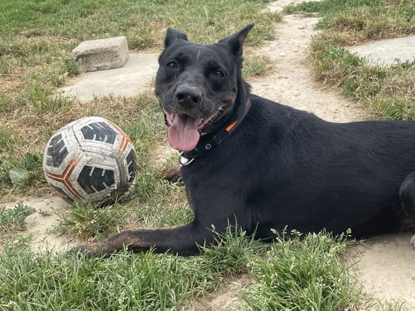 XENA