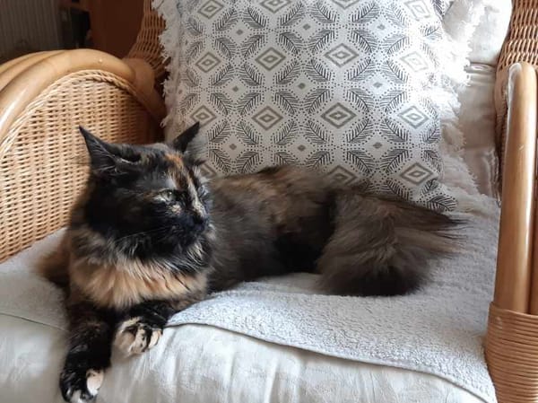 Nala