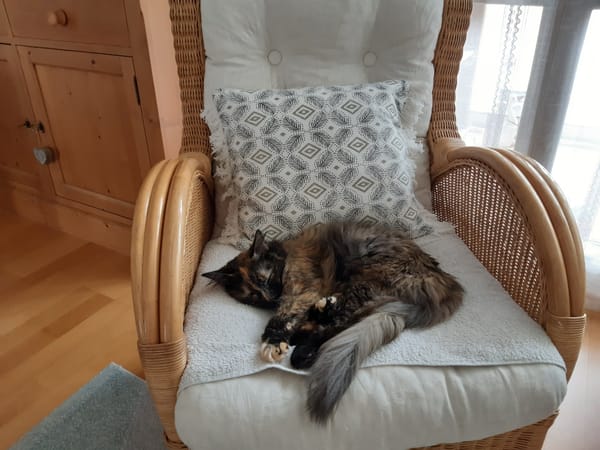 Nala