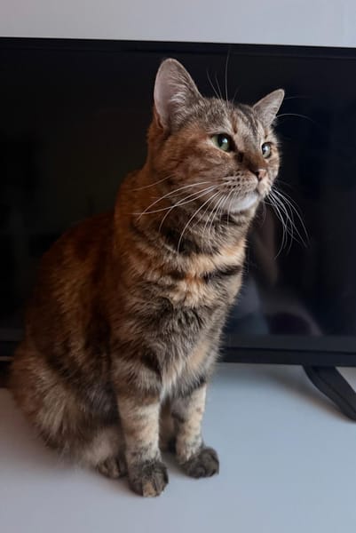 TITI