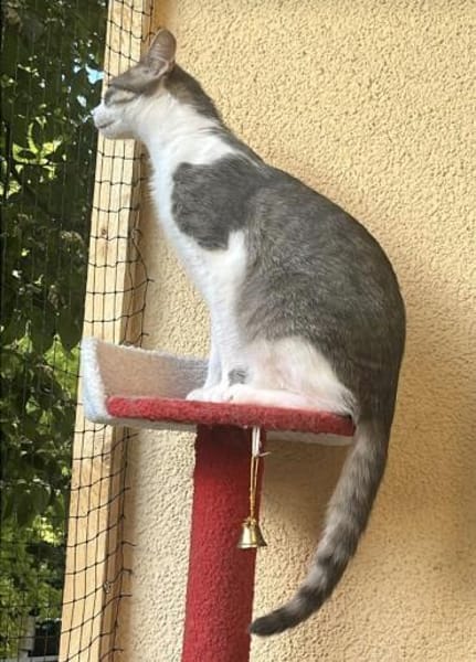 Darko 11 Monate m sucht seinen Balkon