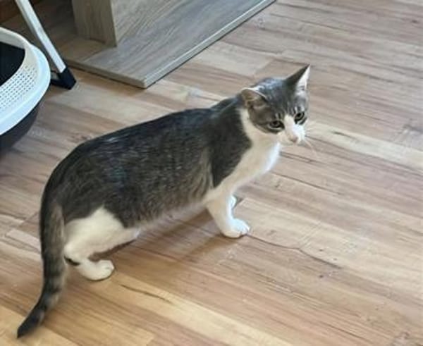 Darko 11 Monate m sucht seinen Balkon