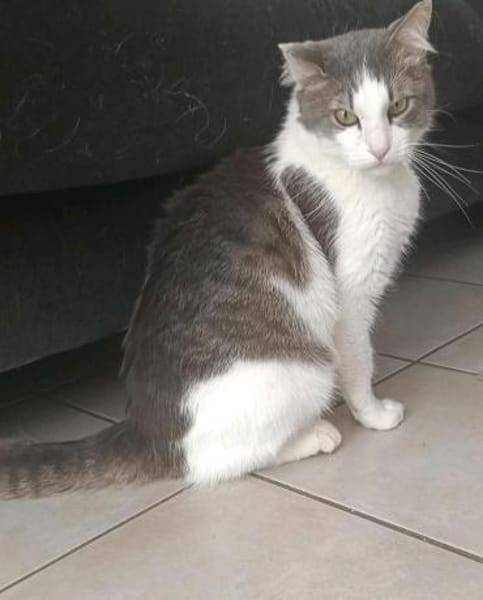 Odin m~1J such liebevolles zuhause