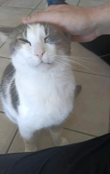 Odin m~1J such liebevolles zuhause