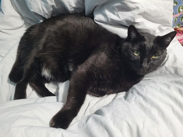 M. Chat
