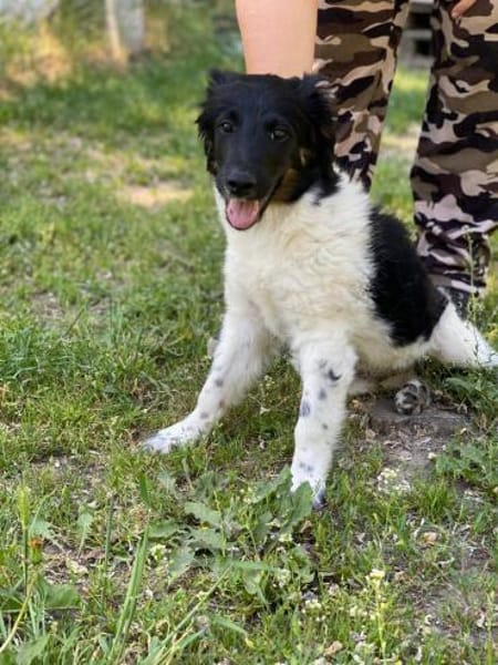 Robin Zuckersüßer Robin sucht eine aktiv