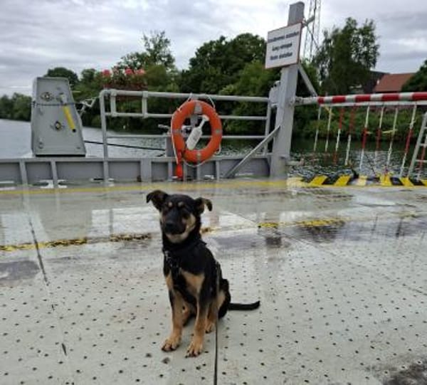 Nina kleine Kämpferin sucht ihr Glück I