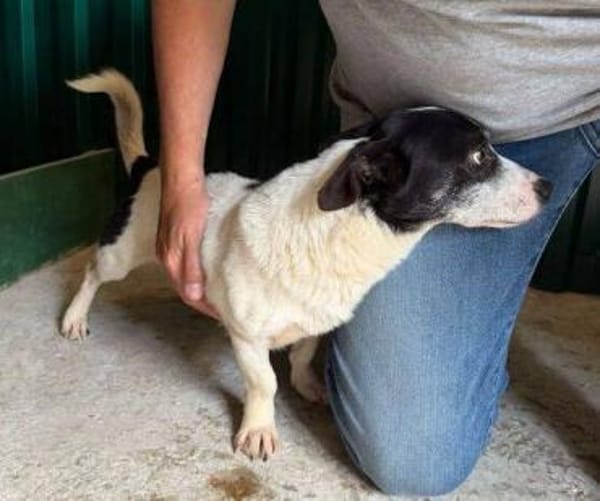 OTTO 3 sucht Liebe und Geborgenheit