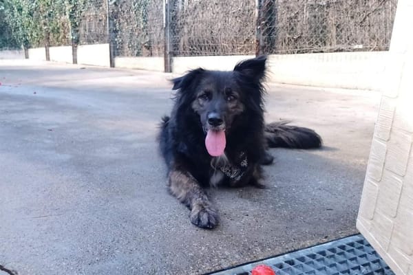 MALA