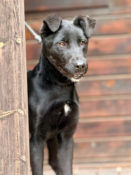 MELLIE (Maria)