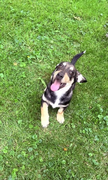 Rory ein Tolles Kerlchen