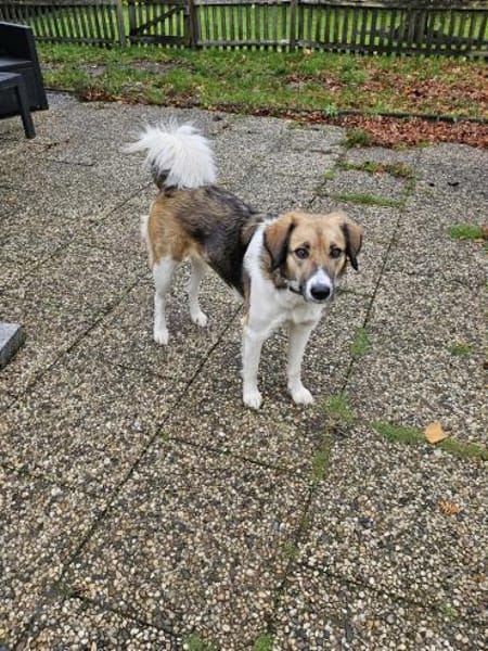Wilma& Pepples suchen eine Endstelle