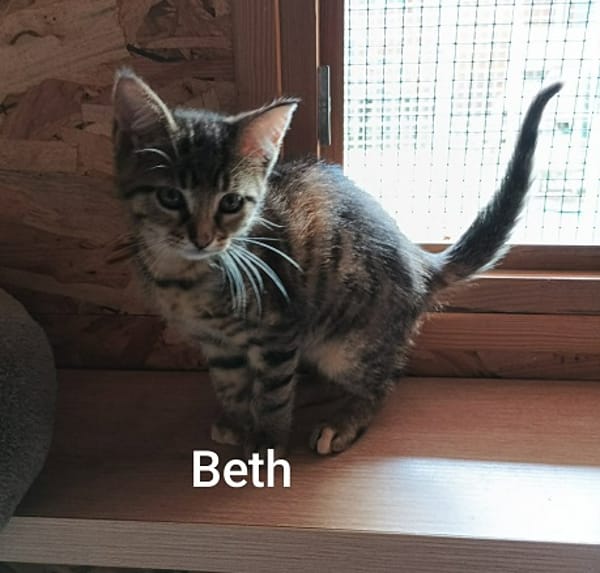 BETH