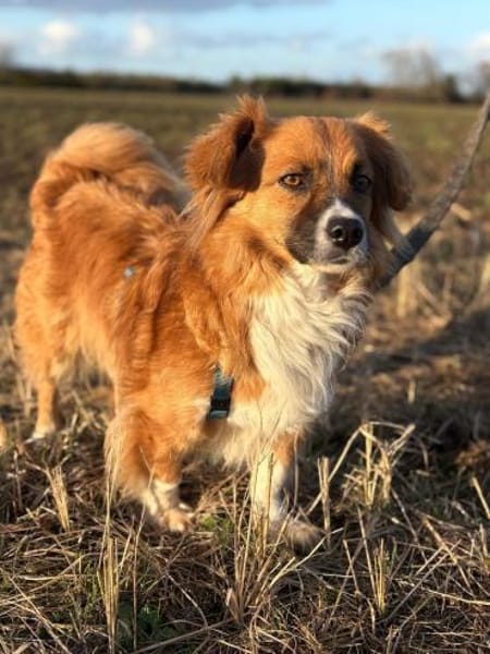 Marlon