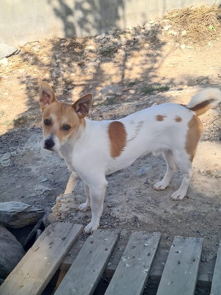 BILLY