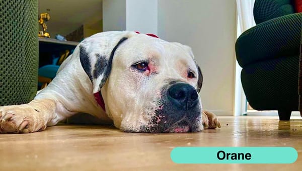 ORANE