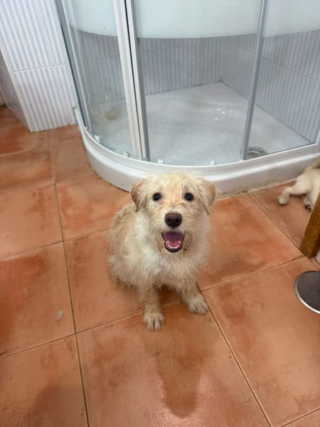 HAPPY (Martina)