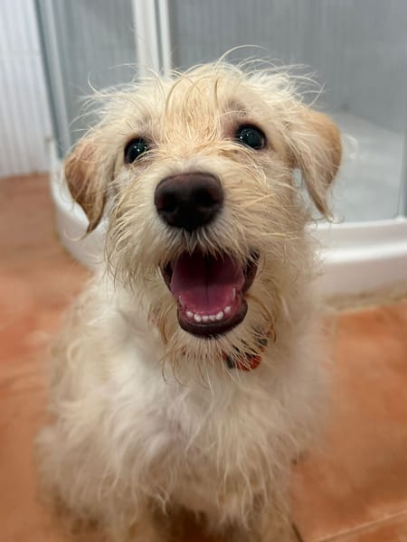 HAPPY (Martina)