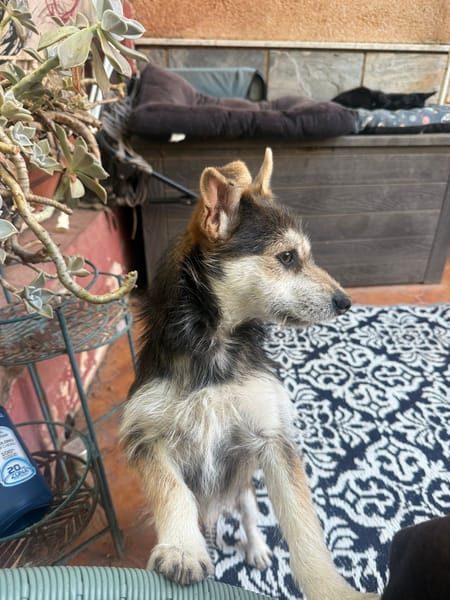 MILO (Martina)