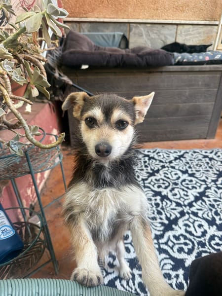 MILO (Martina)