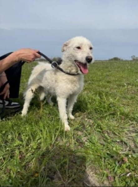 Nelly- sucht ihr Happyend