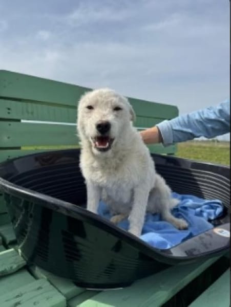Nelly- sucht ihr Happyend