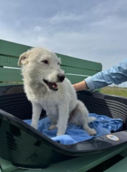 Nelly- sucht ihr Happyend
