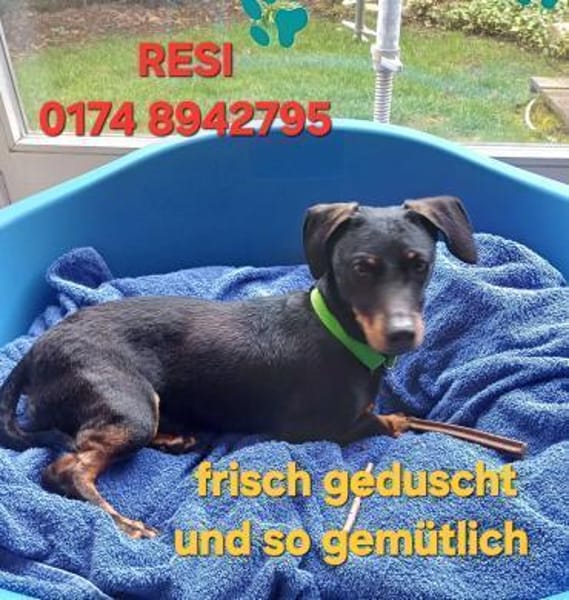 RESI  hofft auf liebevolles Zuhause