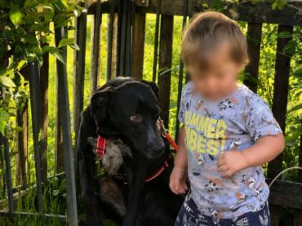 Nerina sucht Familienanschluss