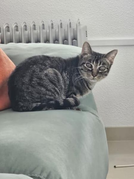 süße Gwendola in Mannheim (ALM)